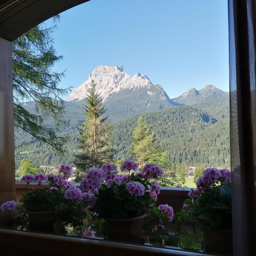 Hotel Il Cardo San Vito di Cadore Exterior foto