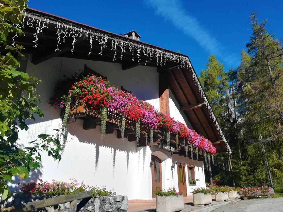 Hotel Il Cardo San Vito di Cadore Exterior foto